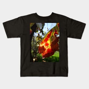 Grape leaf in the sun Kids T-Shirt